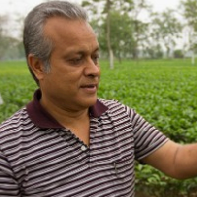 Heritage Assam Pekoe - Single Origin, Small Batch Assam Pekoe Tea