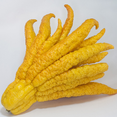 Finger Citron Fruit (Fo Shou) Powder