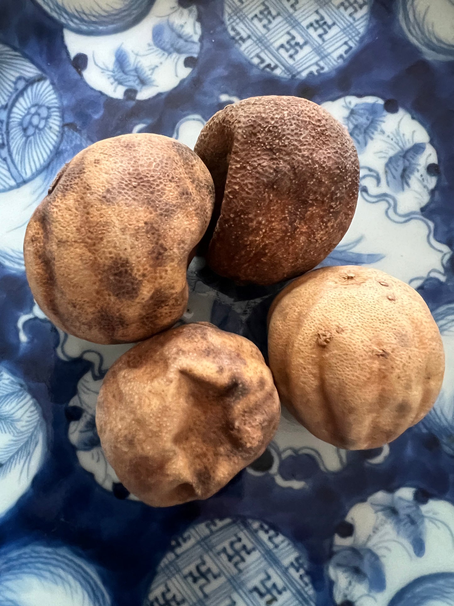 Whole Dried Lemon x4 (Omani Lemon, loomi, عمانی, Limu Omani)