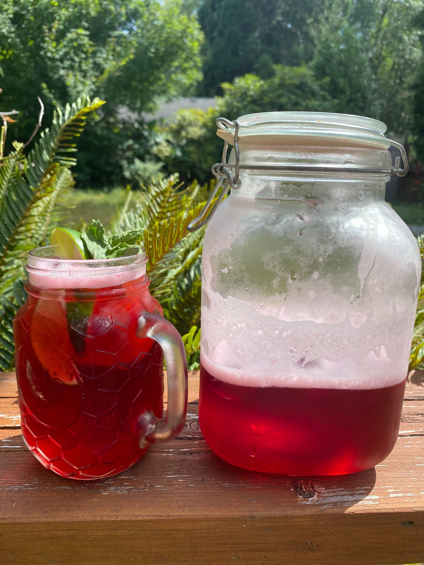 Certified Organic Hibiscus Flowers (Hibiscus sabdariffa)