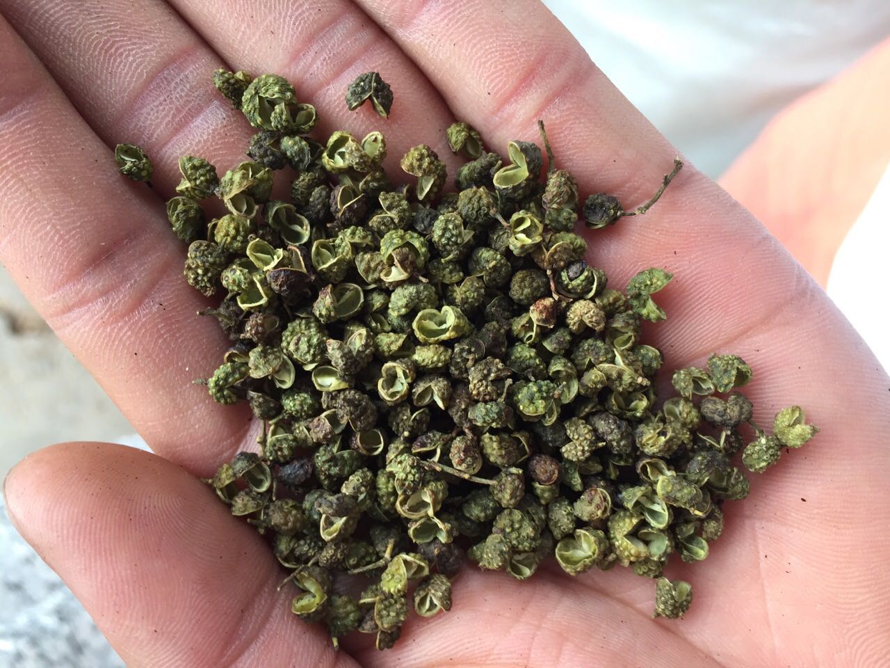 Dried Sansho Peppers (chopi (초피)