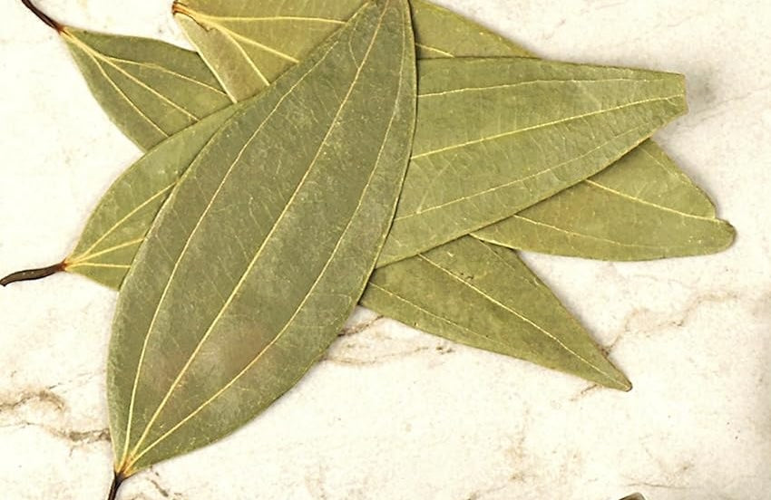 Hand Picked Tej Patta (Indian Bay - Cinnamomum tamala)