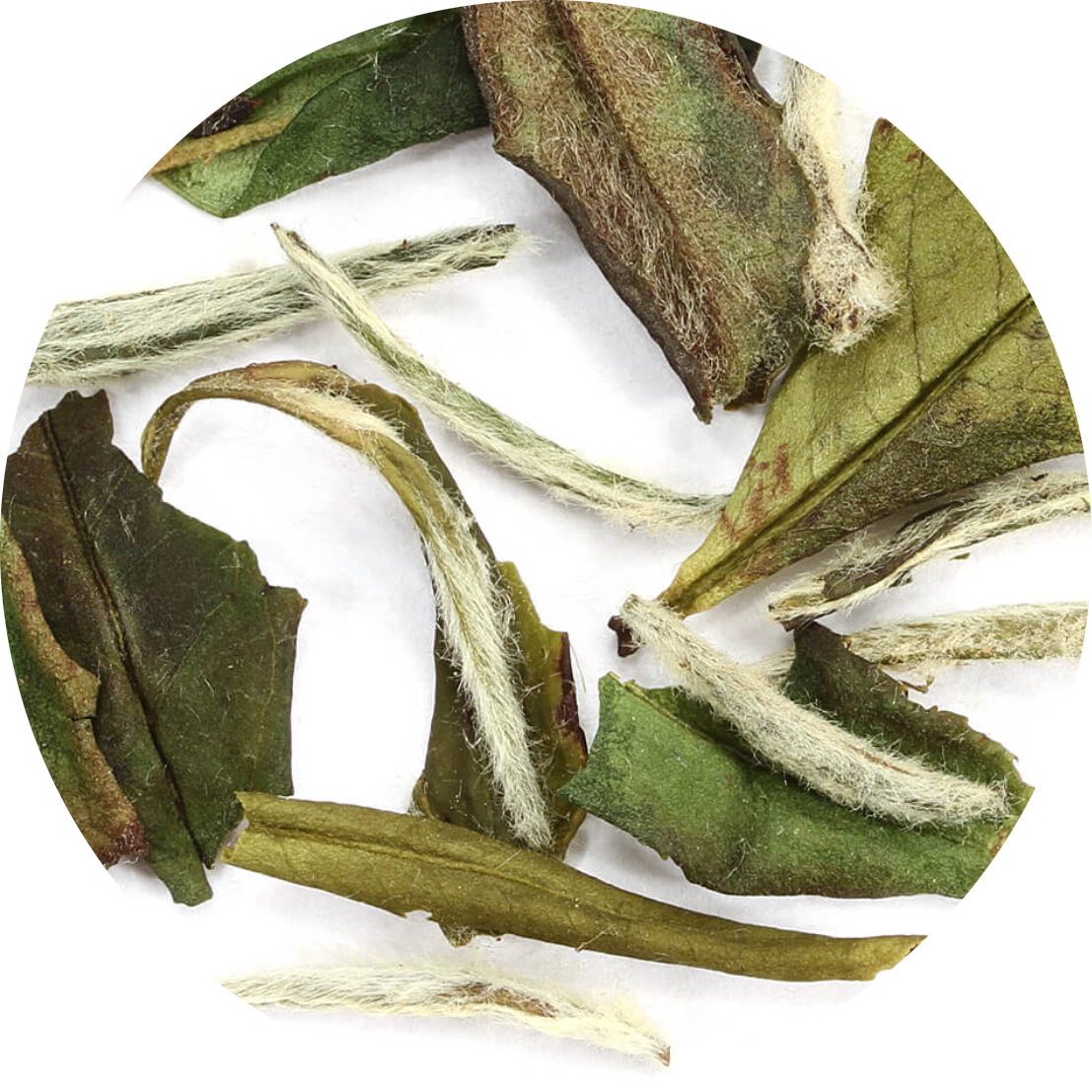 Premium Fujian White Peach Tea Bags