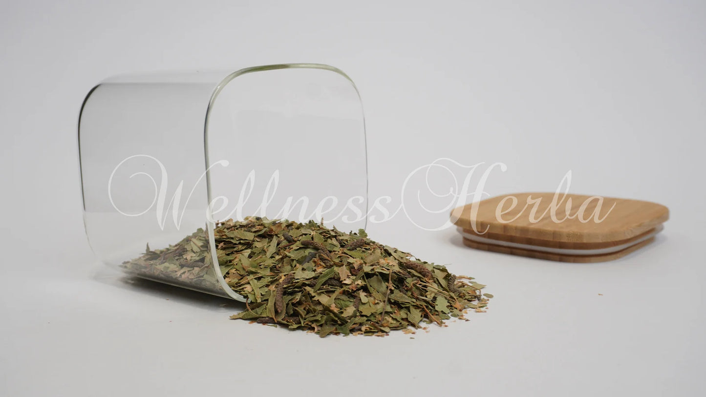 Birch Leaf Tea | Birch Leaves | Betula Pendula