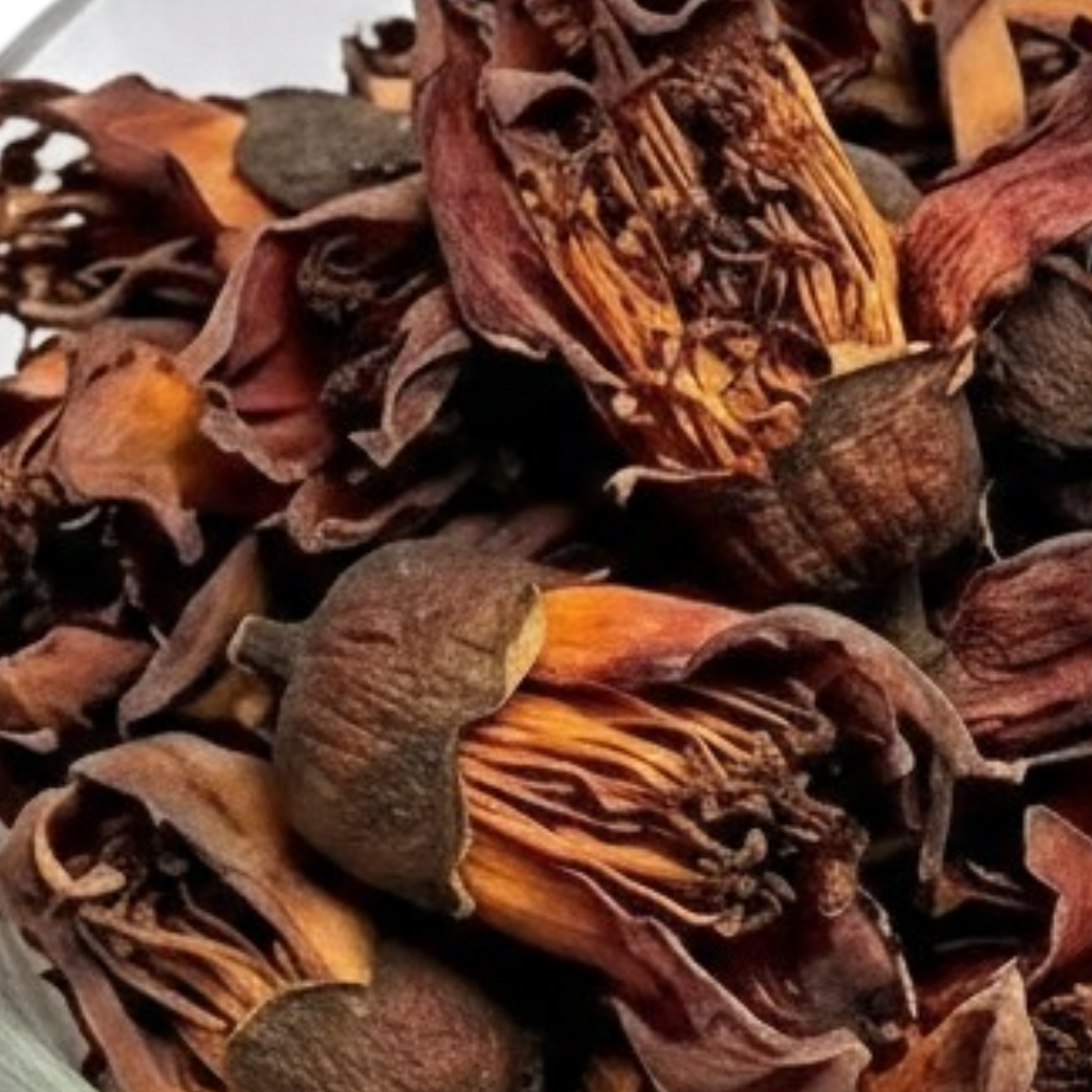 Northern Thai Red Cotton Flower (dok ngiu (ดอกงิ้ว) or dok ngiao (ดอกเงี้ยว)