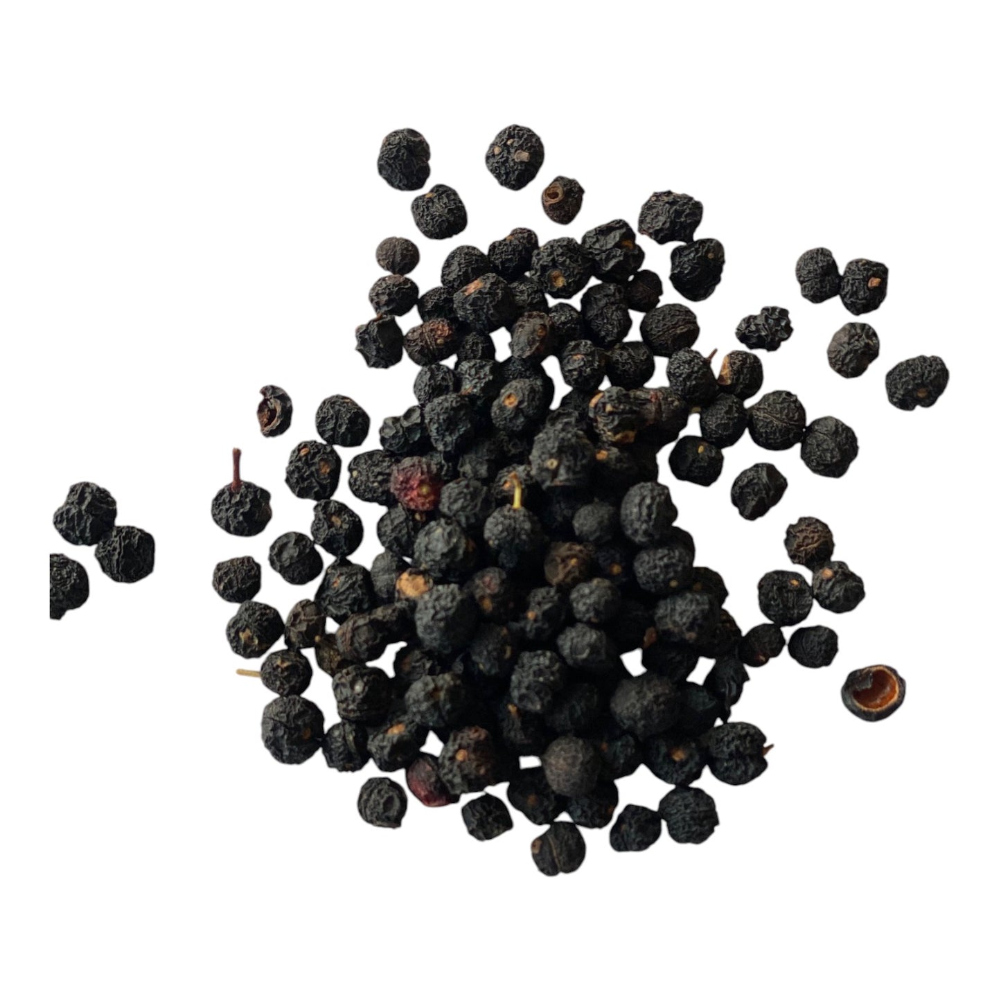 Tasmanian Mountain Pepperberry