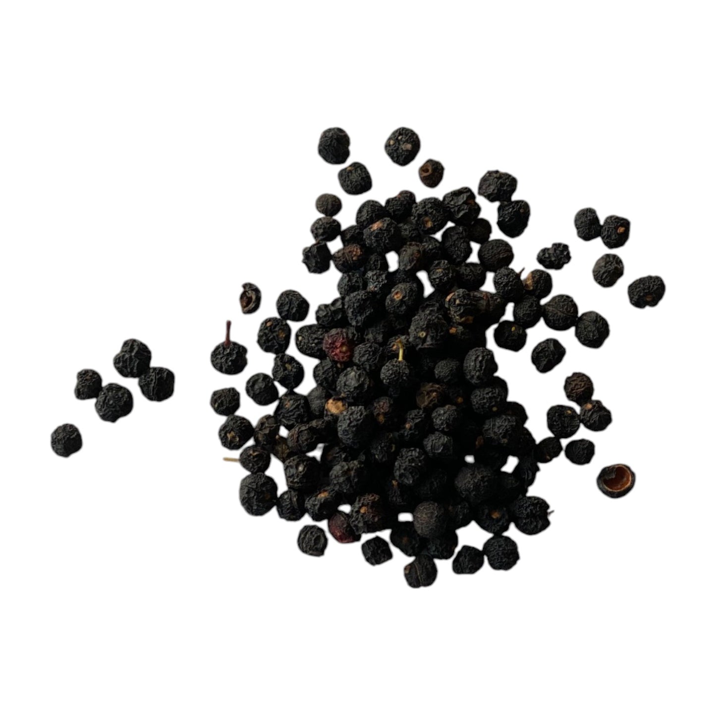Tasmanian Mountain Pepperberry