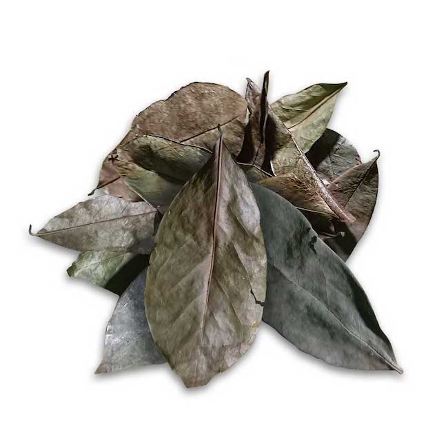 Soursop Whole Leaves - Graviola - Tea - Organic