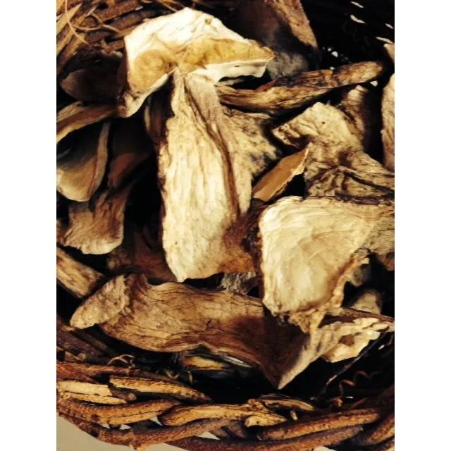 1 lb Dried Polish Mushrooms (Borowik Szlachetny), wildcrafted
