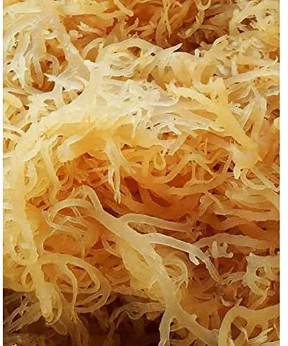 Natural Grown Irish Sea Moss | Quality 100% Wildcrafted, Raw, Pure