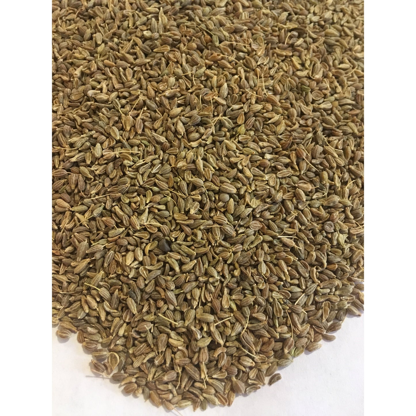 Anise Seed