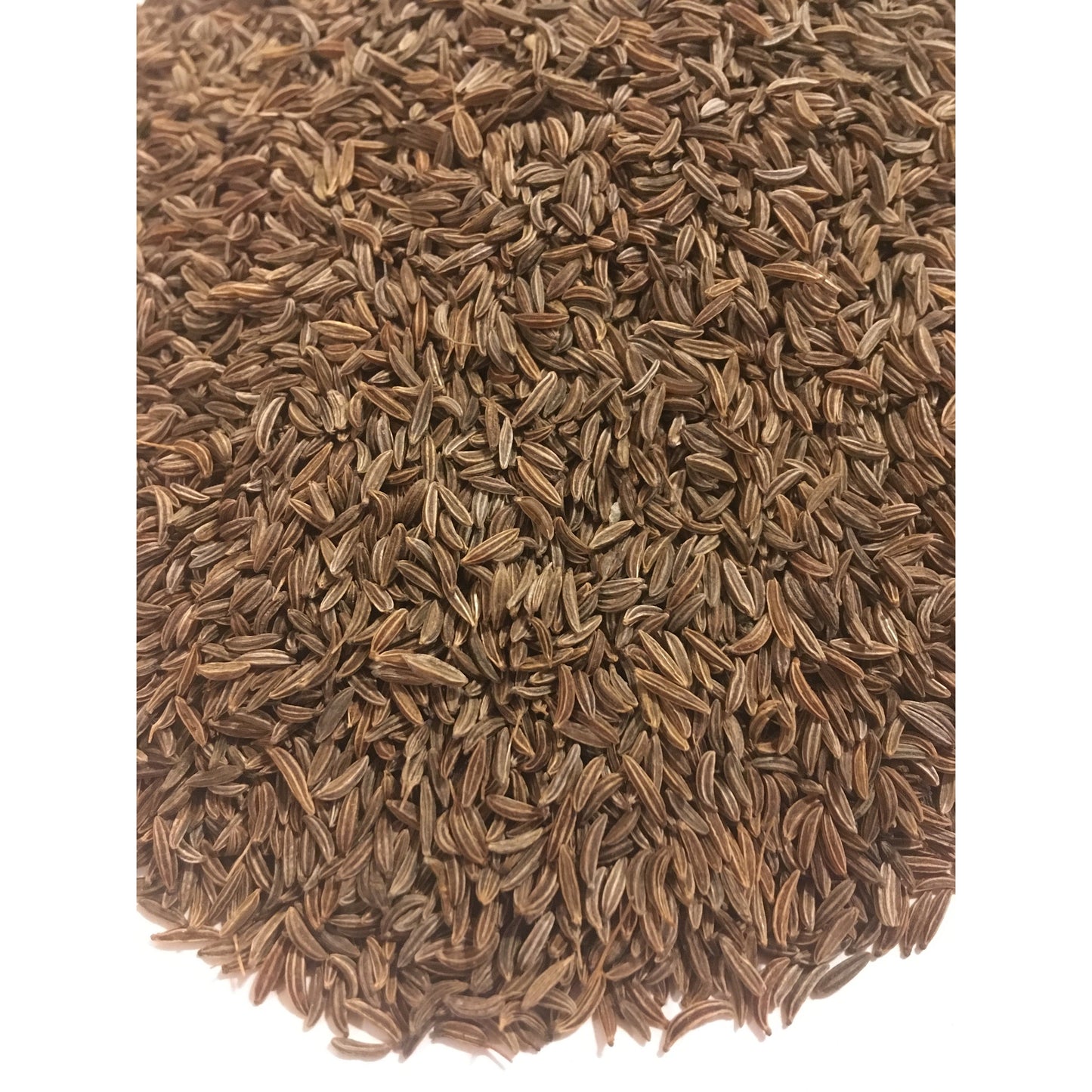 Caraway Seed