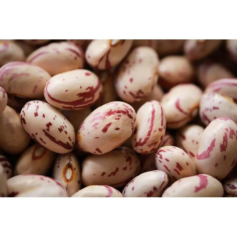 Cranberry Beans - Rancho Gordo