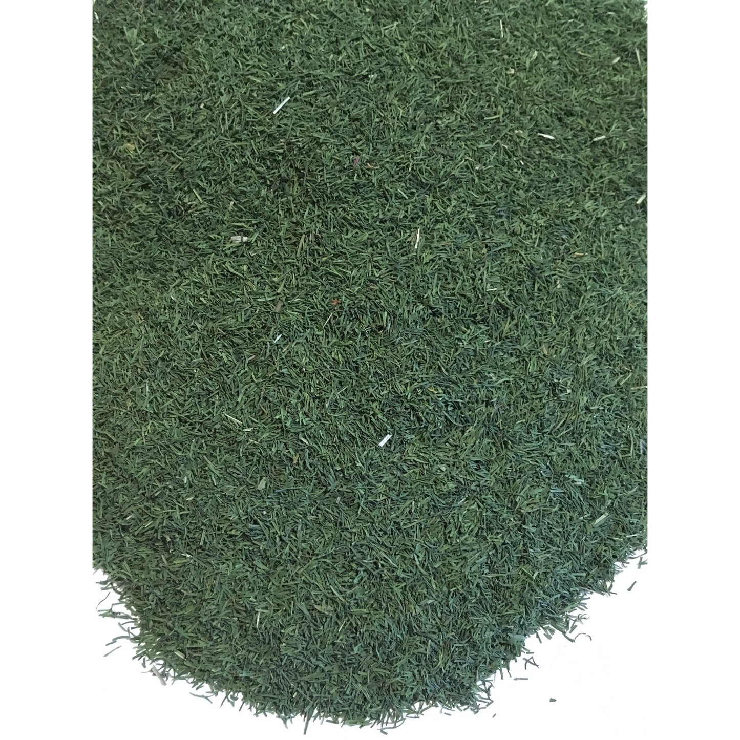 Dill Weed (Organic)