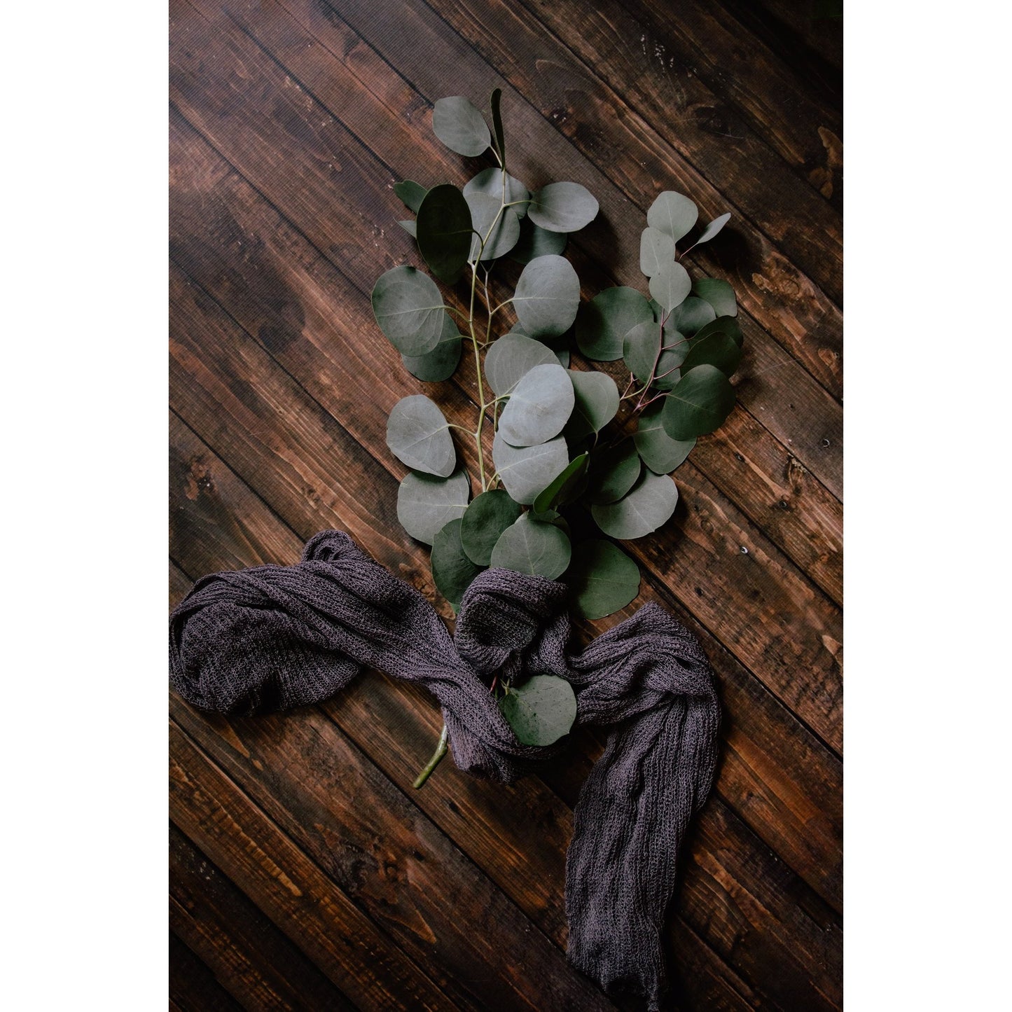 Eucalyptus Leaf