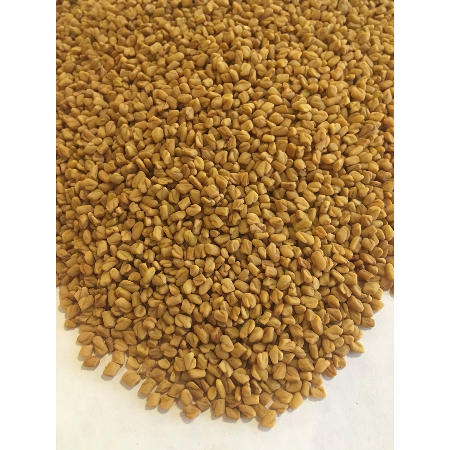 Fenugreek (Kasuri or Samudra Methi) Seeds