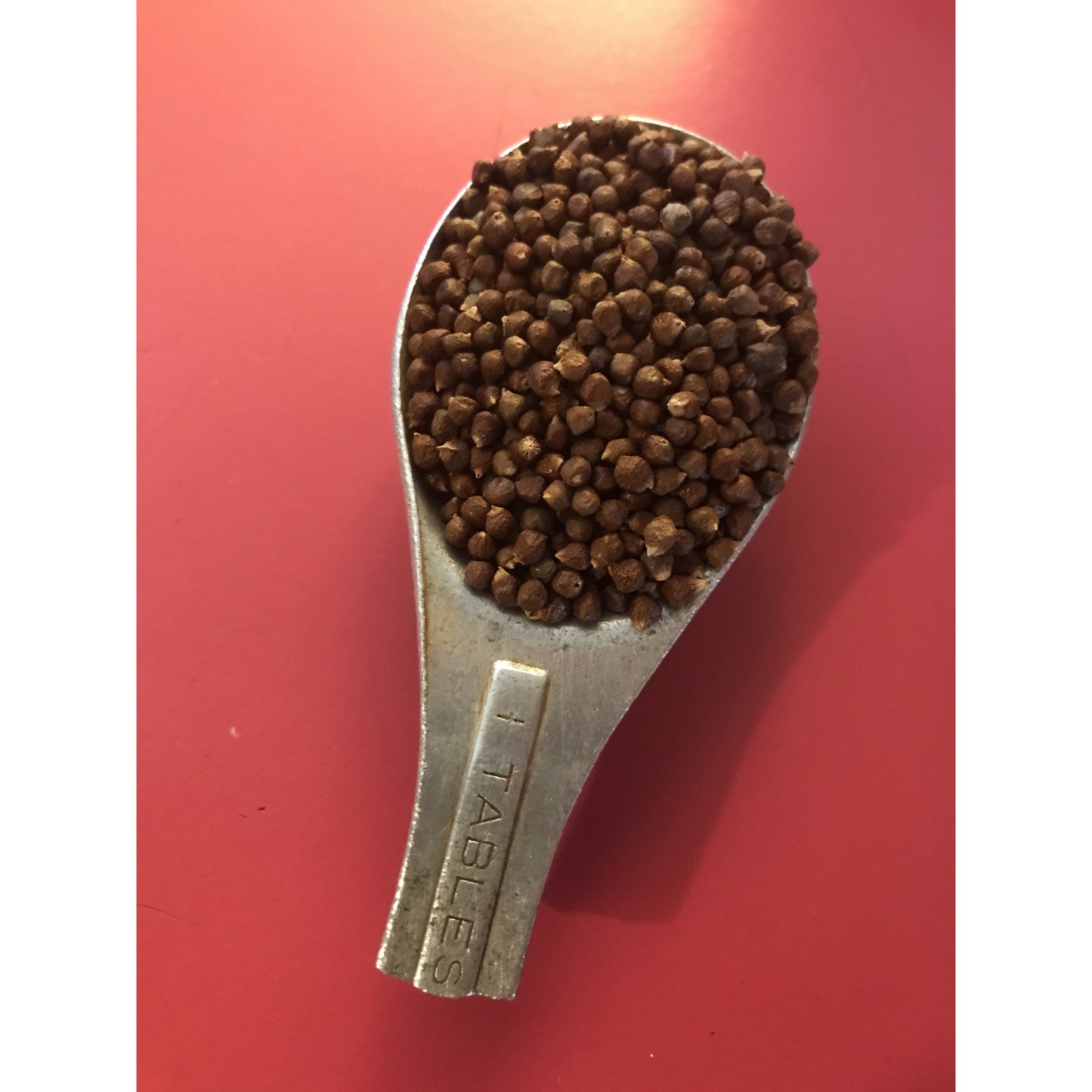 Grains of Paradise