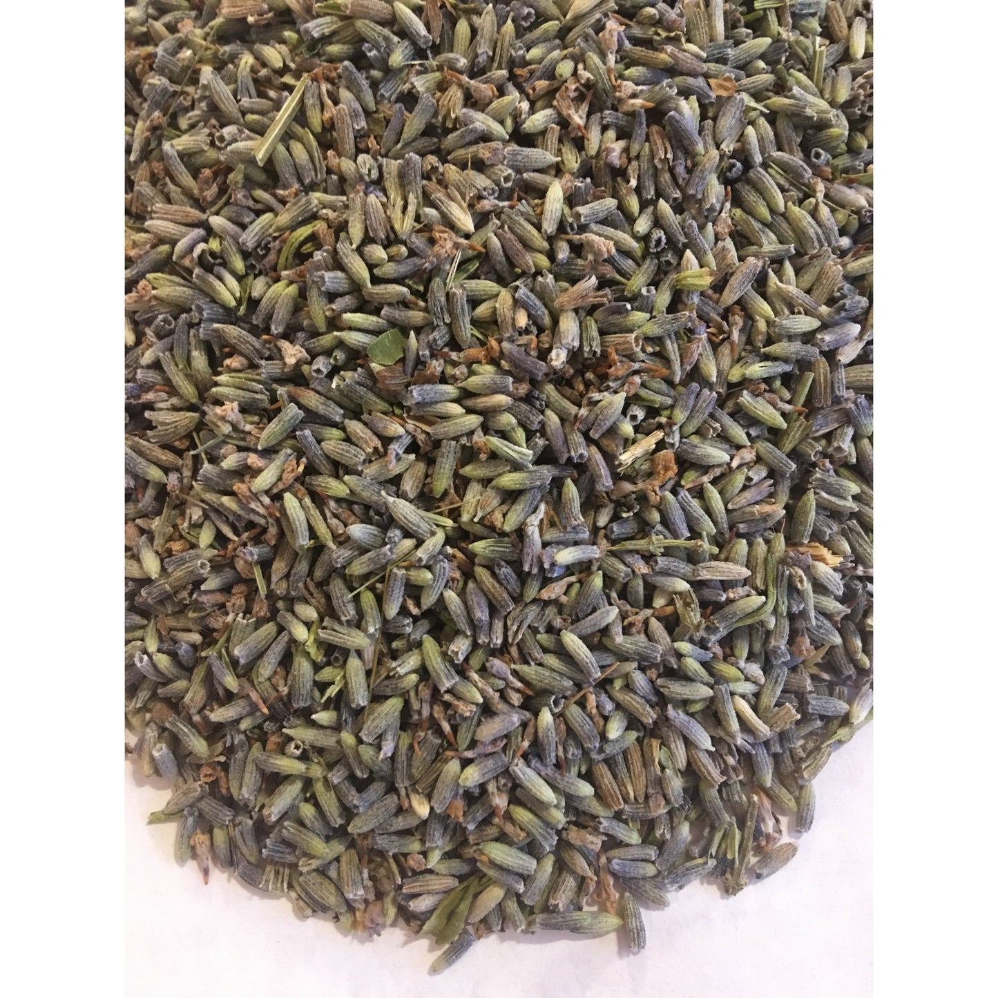 Lavender, French