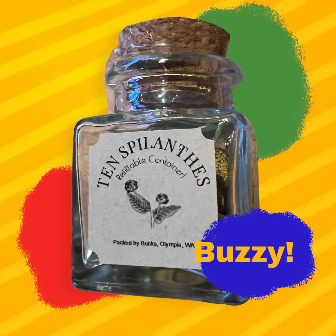 10 Spilanthes in Cool Reusable Apothecary Jar