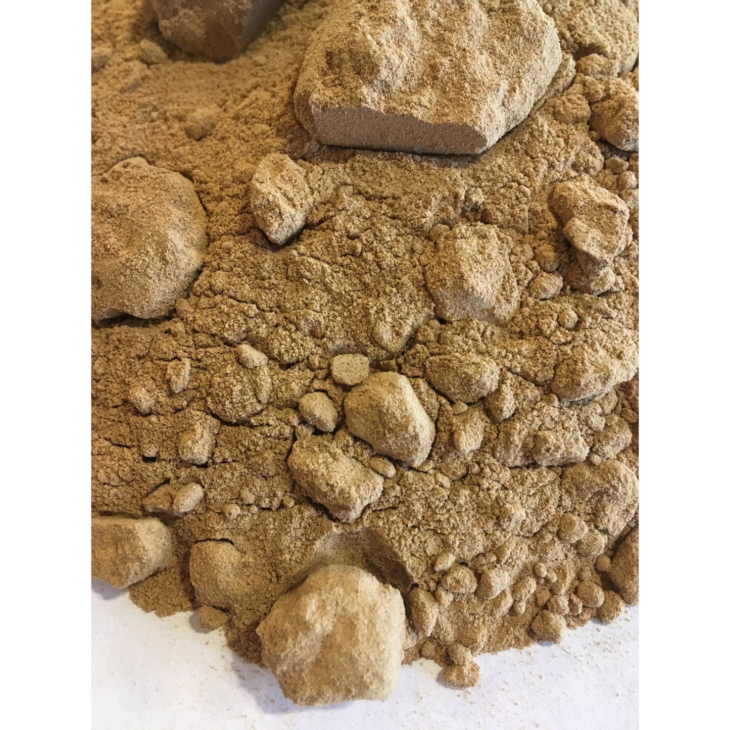Porcini (Bolete, Cepes, Polish) Mushroom Powder, wildcrafted
