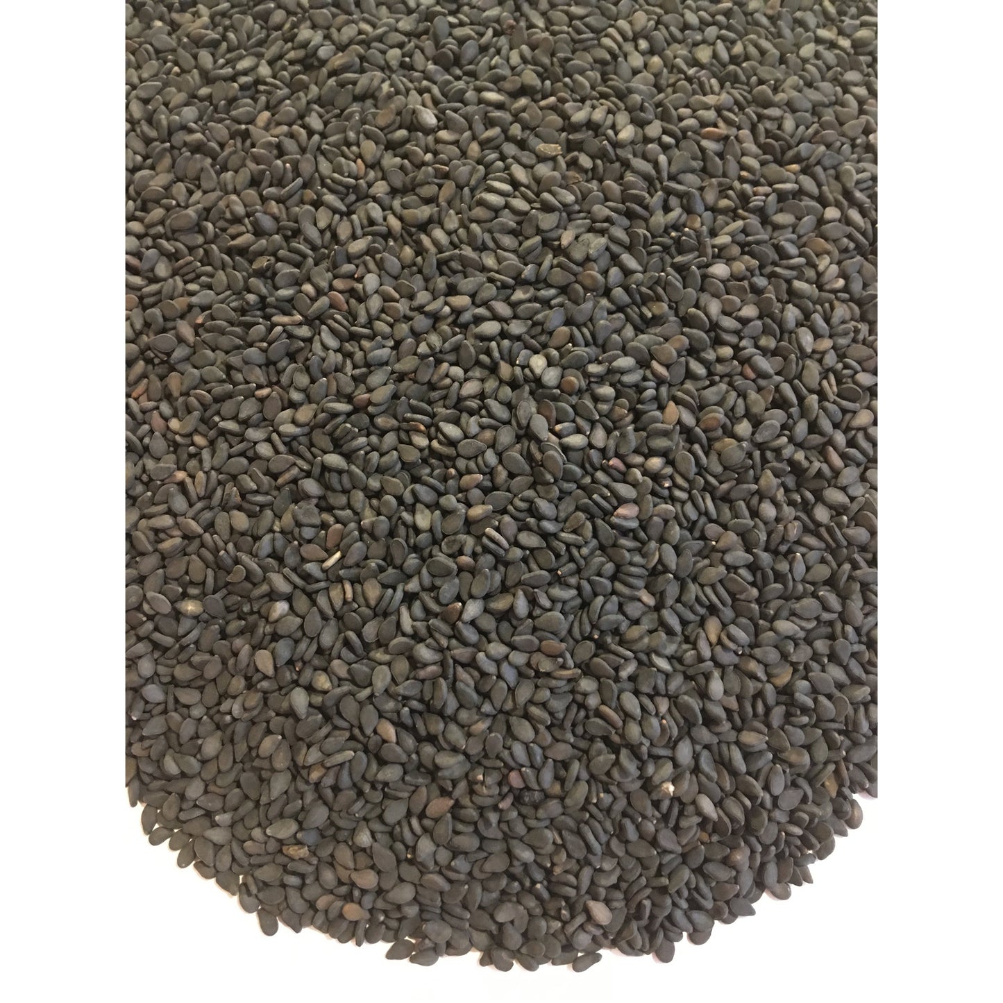Sesame Seeds, Black