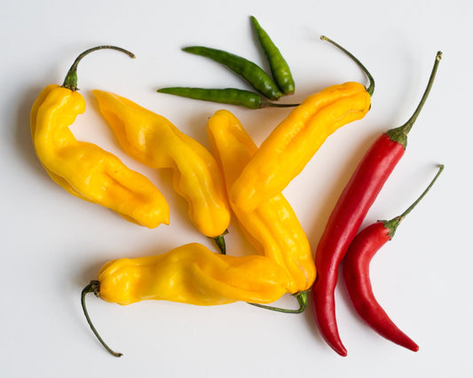Decoding "Mirch": A Shopper's Guide to Indian Chili Powders
