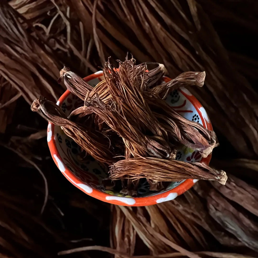 The Red Cotton Flower of Northern Thailand: A Forgotten Ingredient of the Lanna Kitchen