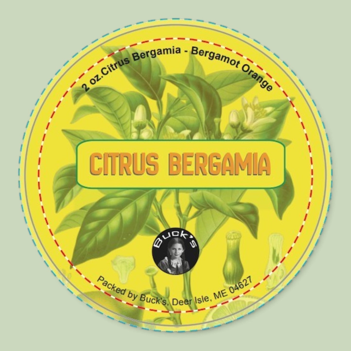 Citrus Bergamia Powder (Bergamot Orange)