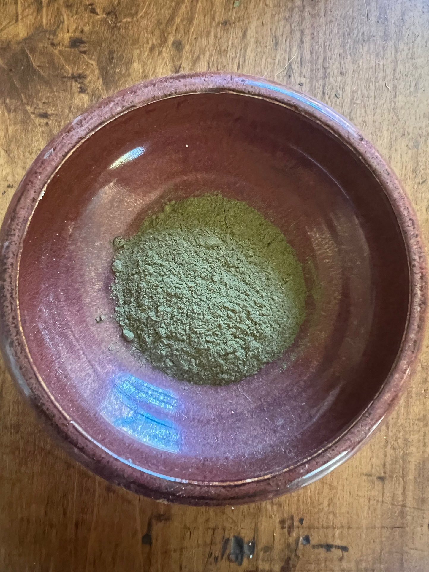 Boldo — The Chilean After-Dinner Herb