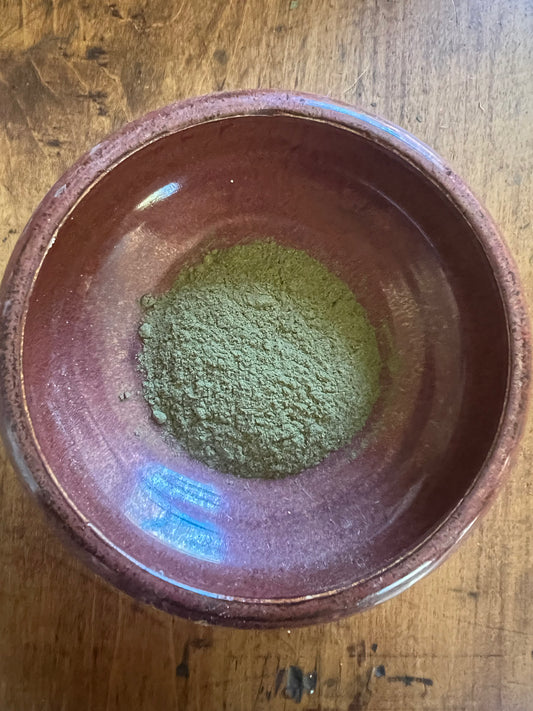 Boldo — The Chilean After-Dinner Herb
