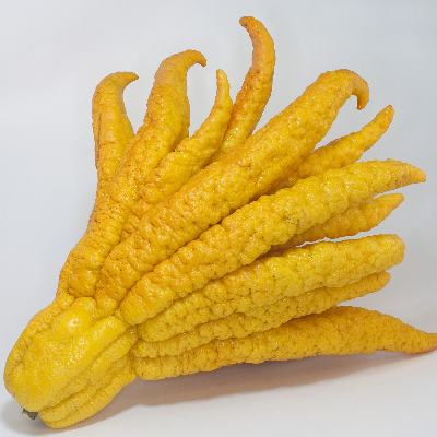 Finger Citron Fruit  (Fo Shou) Powder