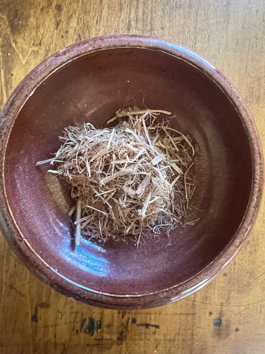 Chuchuhuasi — Amazonian Strength Bark