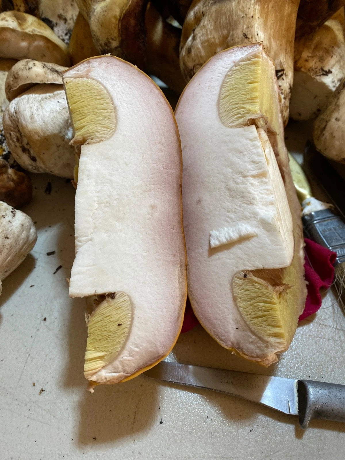2 oz Dried Sierra Madre Porcini Mushrooms