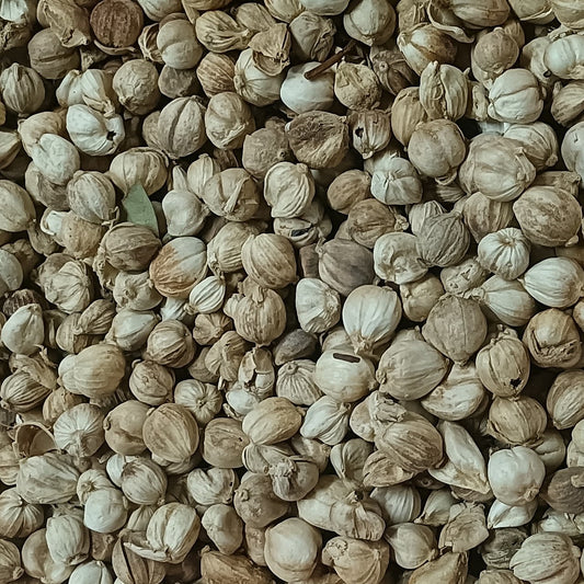 White Cardamom / Bai Dou Kou