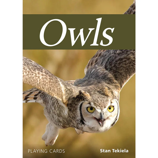 Owl Playing Cards!