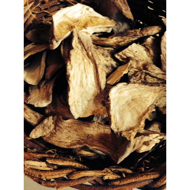 1/2 LB Dried Porcini Mushrooms (Cepes, Boletes), wildcrafted