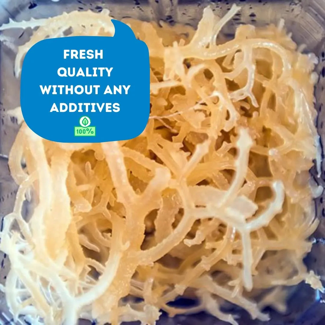 Natural Grown Sea Moss | Quality 100% Wildcrafted, Raw, Pure, Sundried