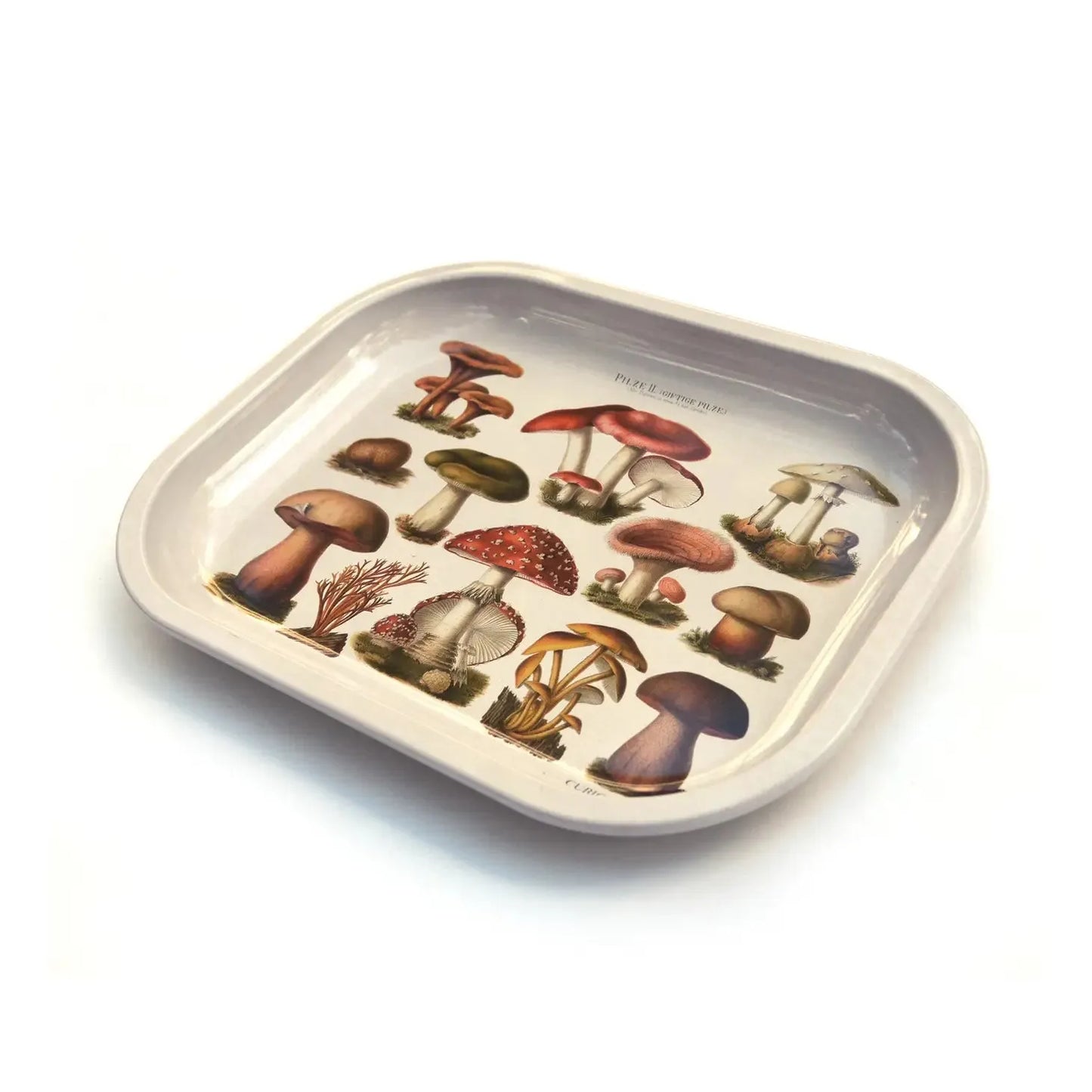 Small Tan Mushroom Ritual Tray / Vintage Mushroom Design