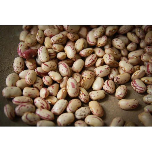 Cranberry Beans - Rancho Gordo
