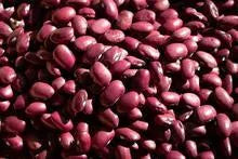Hidatsa Red Bean - Rancho Gordo
