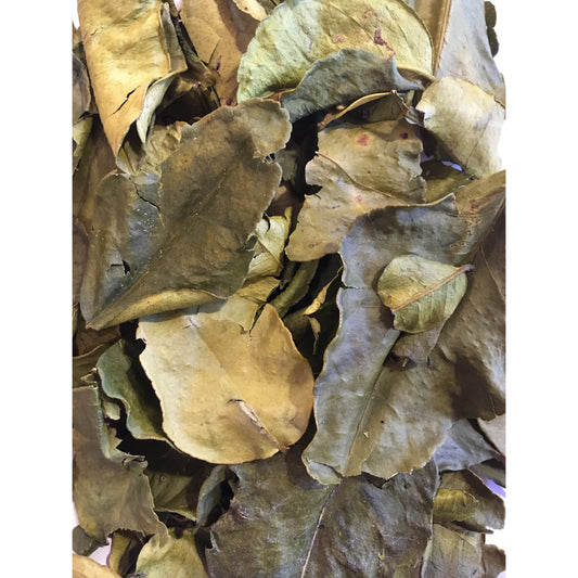 Makrut Lime Leaves