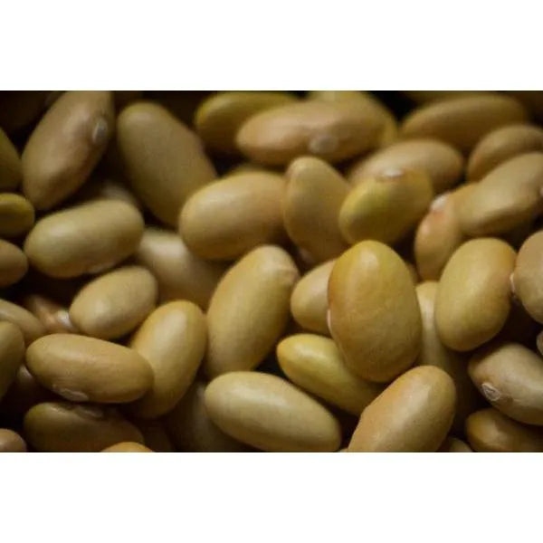 Mayocoba Beans - Rancho Gordo