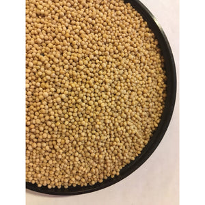 Mustard Seed, Yellow (Organic)