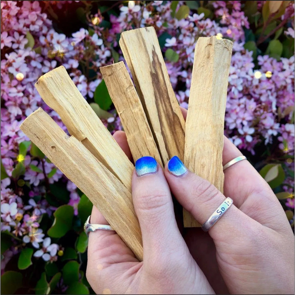 Palo Santo Smudge Stick Bundle of 5