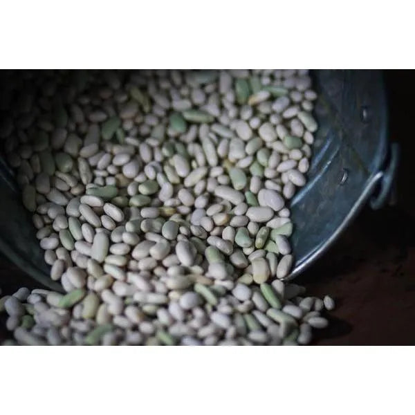 Pinto Beans - Rancho Gordo