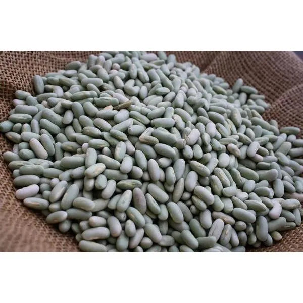 Pinto Beans - Rancho Gordo