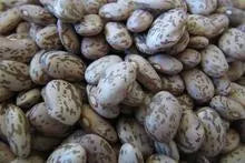 Pinto Beans - Rancho Gordo