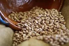Pinto Beans - Rancho Gordo