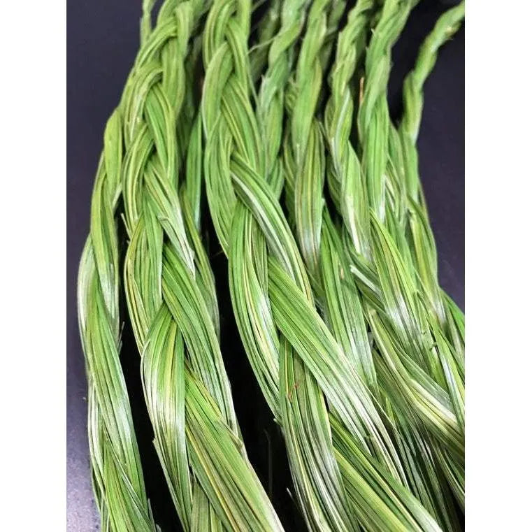 Sweetgrass Braid (Hierochloe odorata)