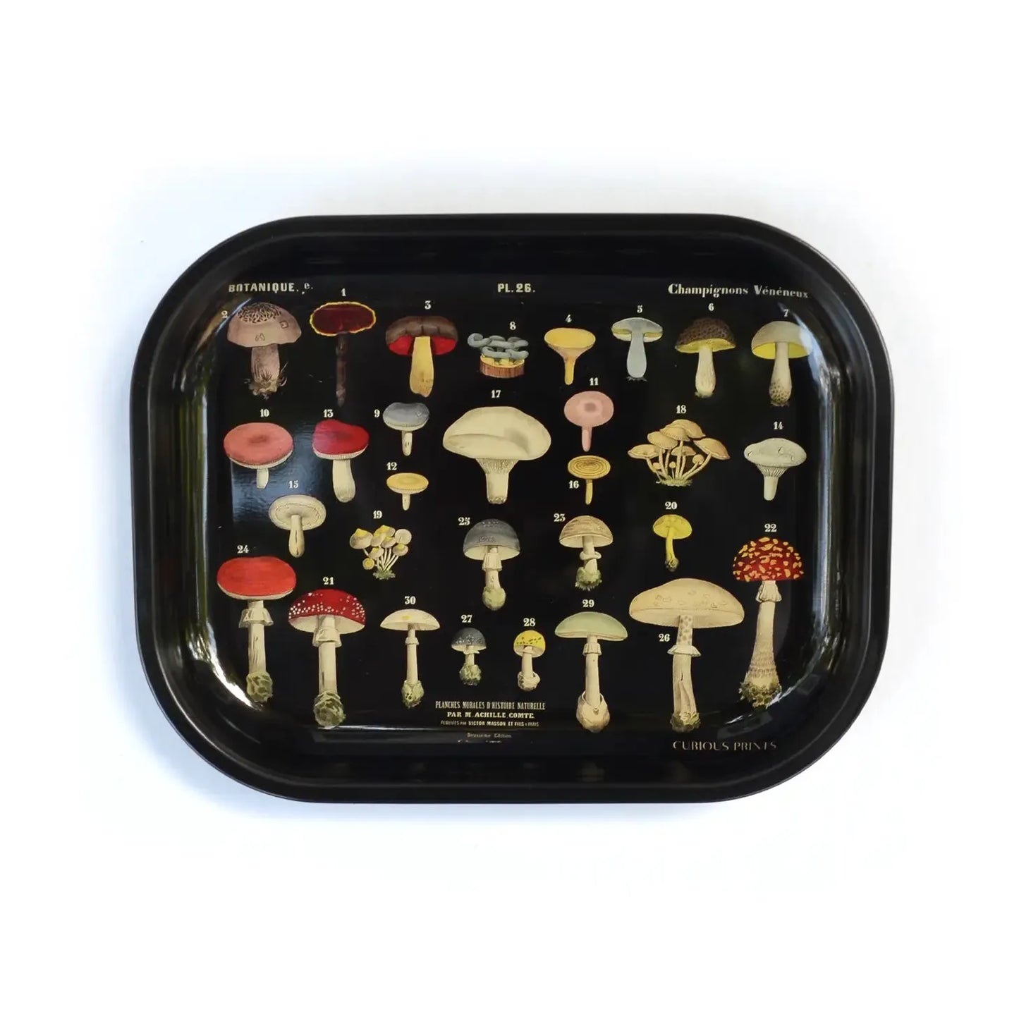 Small Black Mushroom Ritual Tray / Vintage Mushroom Design